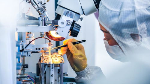 激励更多年轻人走技能成才技能报国之路——以网络科技技术开发为例